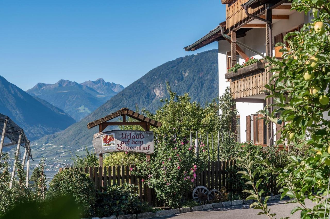 Plunerhof Scena Exterior foto
